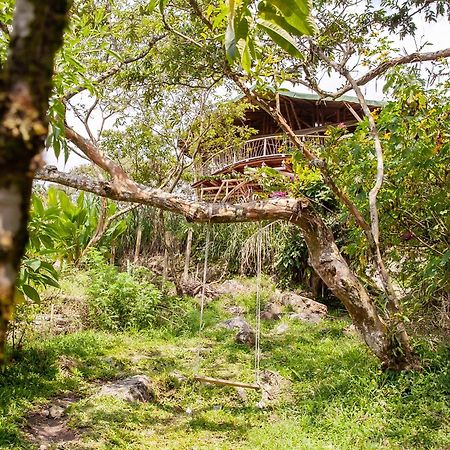 Ecofinca Fuente Alegre Cocorná Eksteriør billede