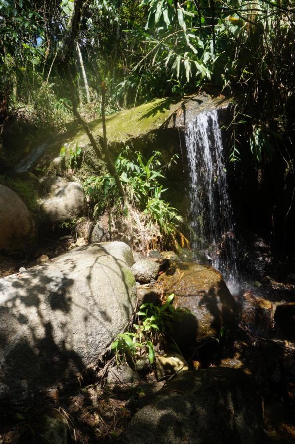 Ecofinca Fuente Alegre Cocorná Eksteriør billede