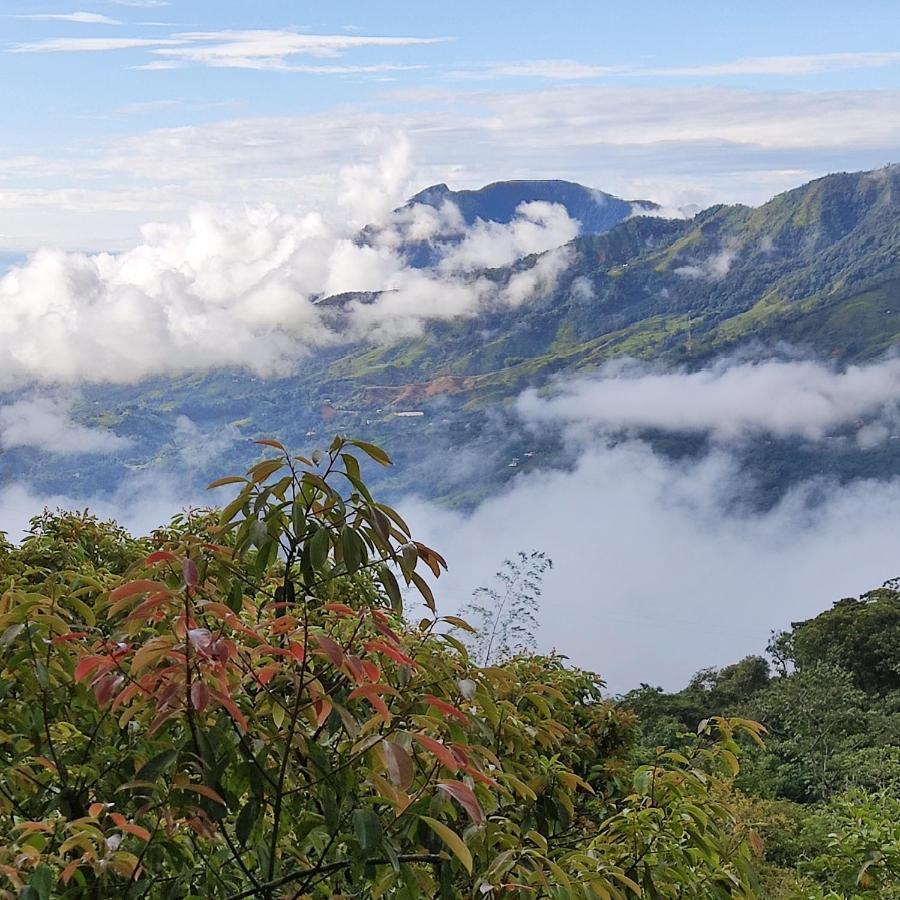 Ecofinca Fuente Alegre Cocorná Eksteriør billede