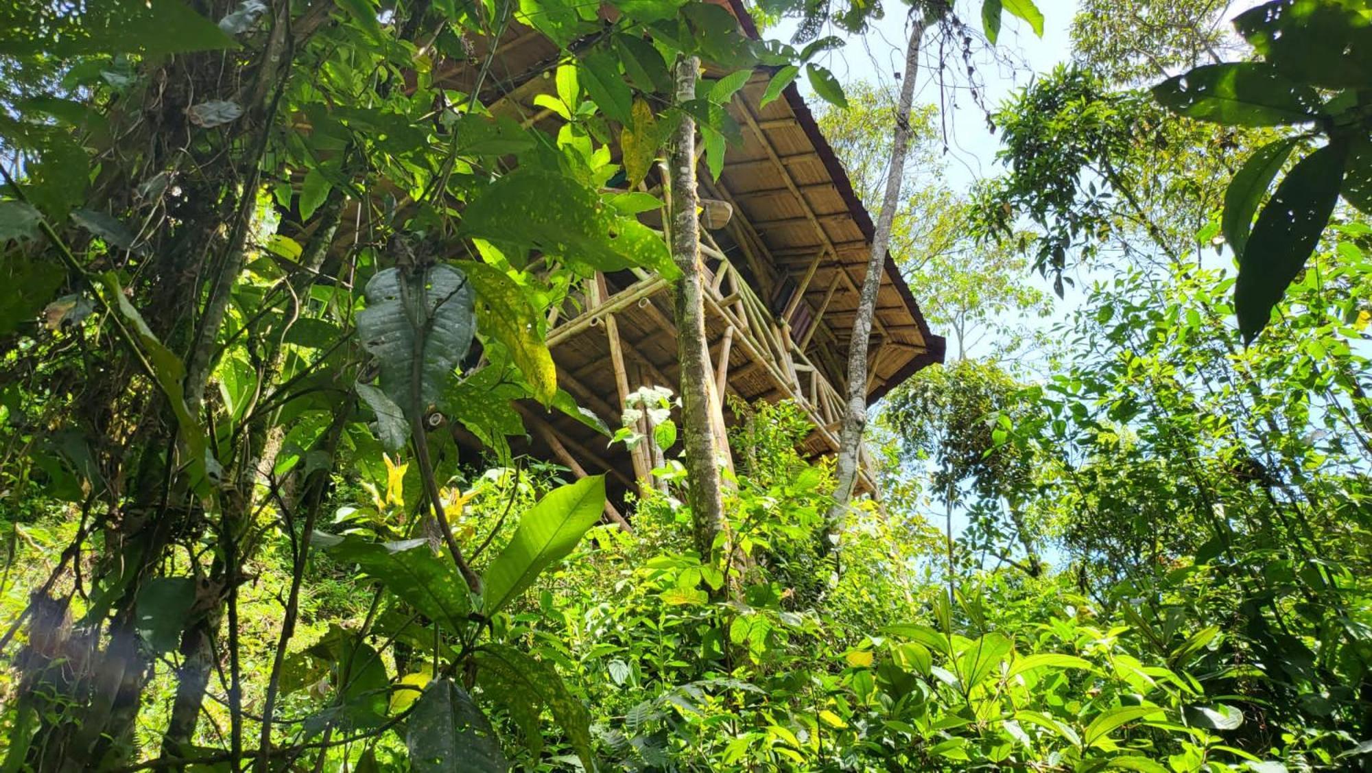 Ecofinca Fuente Alegre Cocorná Eksteriør billede