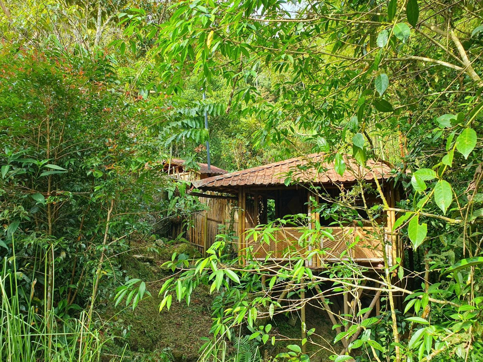 Ecofinca Fuente Alegre Cocorná Værelse billede
