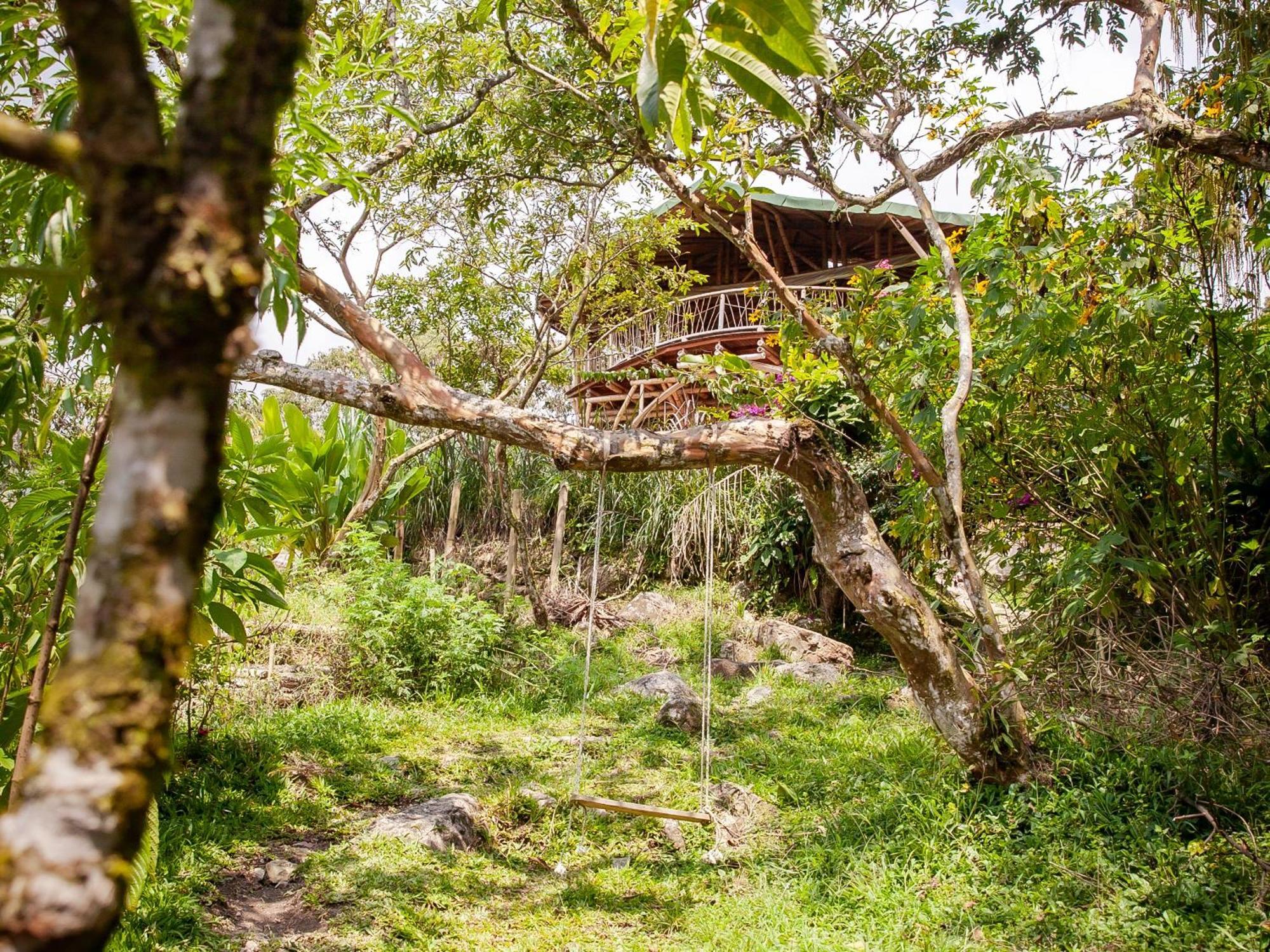 Ecofinca Fuente Alegre Cocorná Eksteriør billede