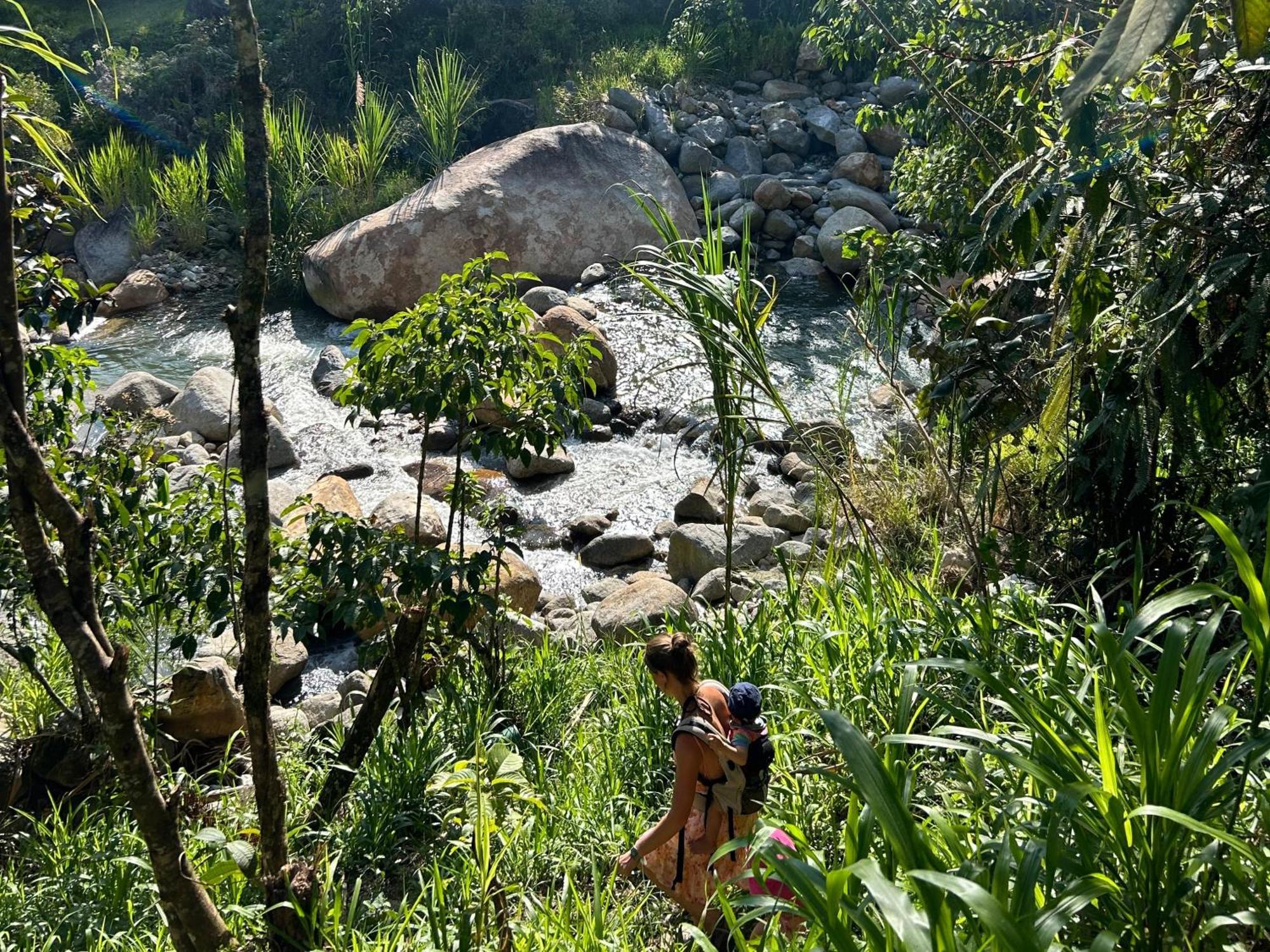 Ecofinca Fuente Alegre Cocorná Eksteriør billede