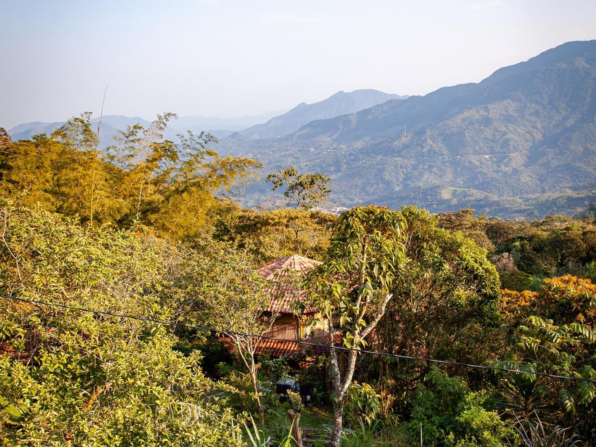 Ecofinca Fuente Alegre Cocorná Eksteriør billede